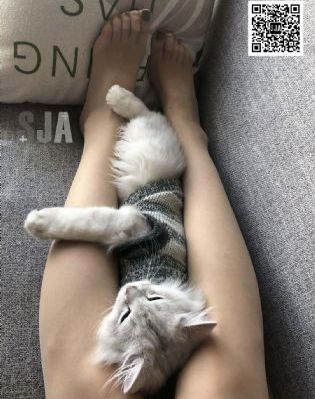 孔子电影免费观看完整版_老版国语字幕