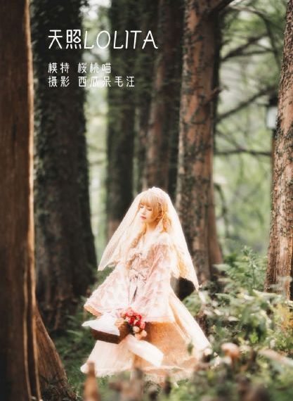 官婿美人图小说全文免费阅读_西瓜视频免费观看
